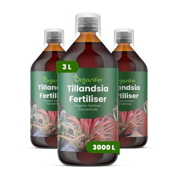 Vloeibare meststof voor Tillandsia - Set 3x1 liter, Verzenden, Mest
