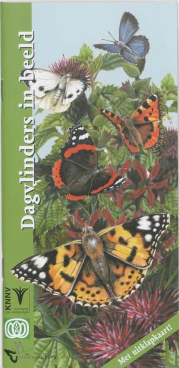 Dagvlinders in beeld / In beeld / 5 - F. Bos 9789050111454, Verzenden, Gelezen, F. Bos