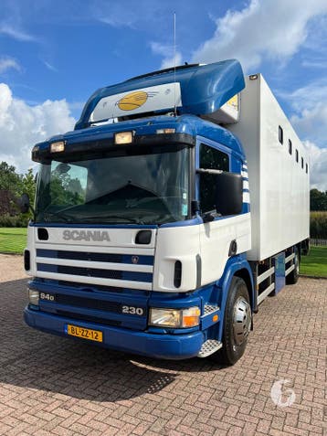 Mooie Scania 6-paards Paardenvrachtwagen!, Ophalen, Zo goed als nieuw, Polyester, 2-paards trailer
