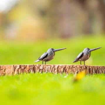 Figuur - Twee metalen ijsvogels - Metaal