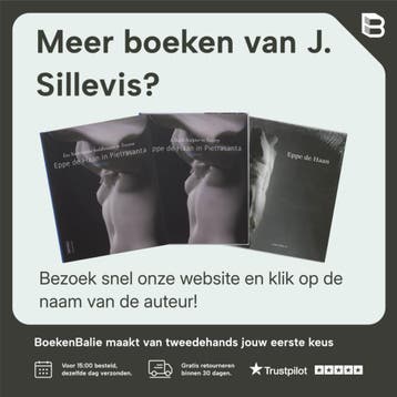 Leven als een dandy - J. Sillevis 9789058973757, Verzenden, Gelezen, J. Sillevis