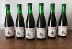 Cantillon - Rosé de Gambrinus 2015 & 2016 - 37,5cl - 6, Nieuw