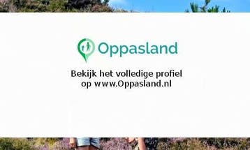 Anne zoekt een oppas in Dordrecht voor 1 kind voor 4 dage...