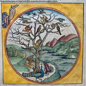 Hartmann Schedel/ Wohlgemut/ Pleydenwurff/Dürer - The