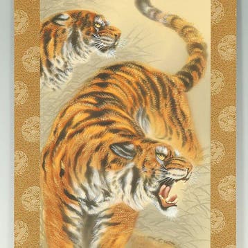 Two Fierce Tigers on Cliff with Original Box (Tomobako) -