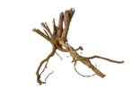 Driftwood Selected  DW45- 38x30x23m (Small drift wood), Dieren en Toebehoren, Vissen | Aquaria en Toebehoren, Ophalen of Verzenden