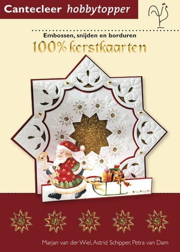 100% kerstkaarten / 100 % - P. van Dam 9789021338446, Verzenden, Gelezen, P. van Dam