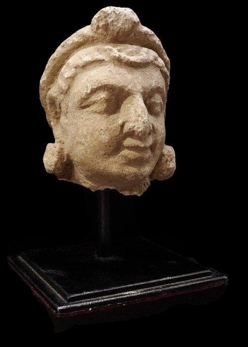 Gandhara - Hoofd van een bodhisattva van stuc -, Verzamelen, Mineralen en Fossielen