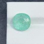 Zonder minimumprijs Paraiba toermalijn - 7.83 ct -, Nieuw