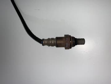 Kawasaki Z1000 Lambda sensor, Ophalen of Verzenden, Nieuw