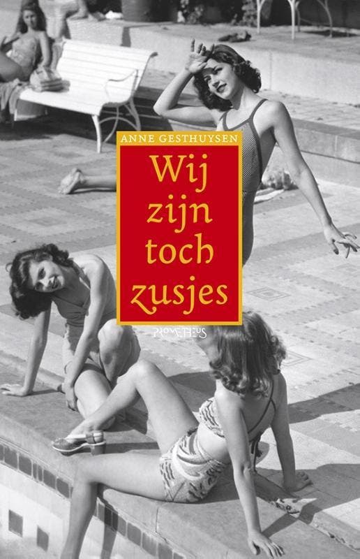 Wij zijn toch zusjes 9789044624762 Anne Gesthuysen, Boeken, Romans, Gelezen, Verzenden