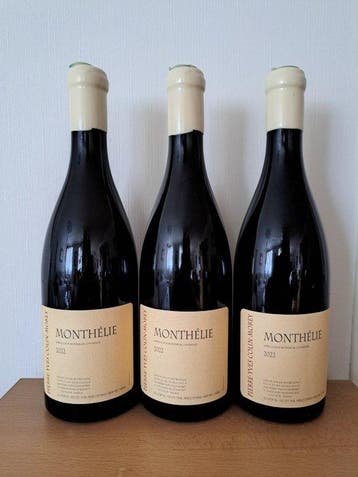 2022 Pierre-Yves Colin-Morey - Monthelie - 3 Flessen (0.75, Nieuw