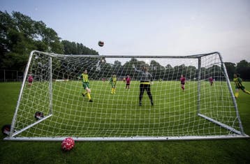 Aluminium Voetbaldoel 5x2m | Nu al voor €880,- excl. btw, Sport en Fitness, Voetbal, Verzenden, Nieuw, Overige typen