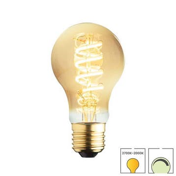 LED lamp E27 | 6 watt dimbaar | Dim-to-warm | 2000-2700K |, Verzenden, Nieuw, E27 (groot), Overige typen