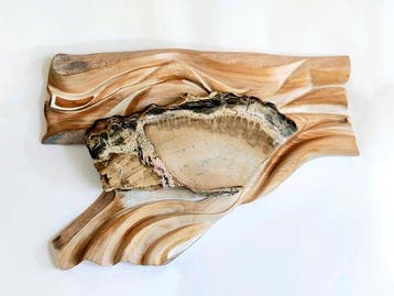 Fossiel hout - Gefossiliseerd hout - 450 mm - 700 mm