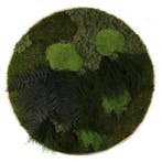 Vintlux Mosschilderij Rond 40 cm Ongelakt Eiken - Solbjerg, Huis en Inrichting, Nieuw
