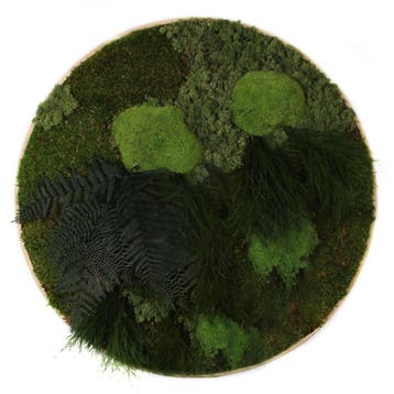 Vintlux Mosschilderij Rond 40 cm Ongelakt Eiken - Solbjerg, Nieuw