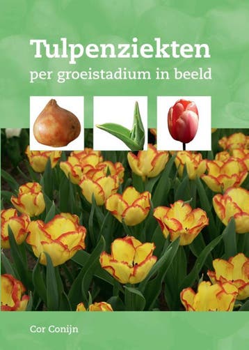 Tulpenziekten | Cor Conijn | Nieuw, Ophalen of Verzenden, Nieuw, Cor Conijn