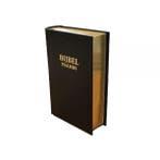 GBS-Kleine Huisbijbel of Kerkbankbijbel met Psalmen (nieuw), Boeken, Verzenden, Nieuw