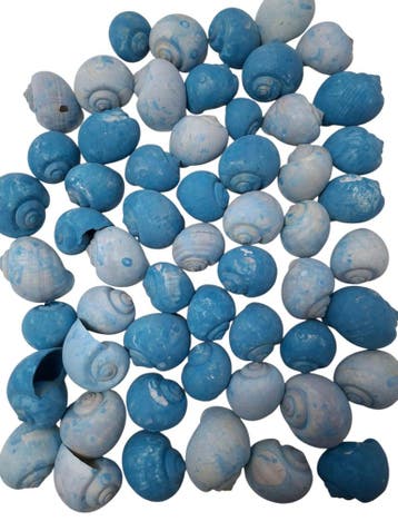 Nattai schelpen Blue washed 500 gram, Ophalen of Verzenden, Nieuw