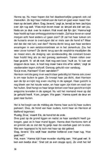Dossier Vermeer 9789403675886 Susannah Meerlo, Boeken, Verzenden, Gelezen, Susannah Meerlo
