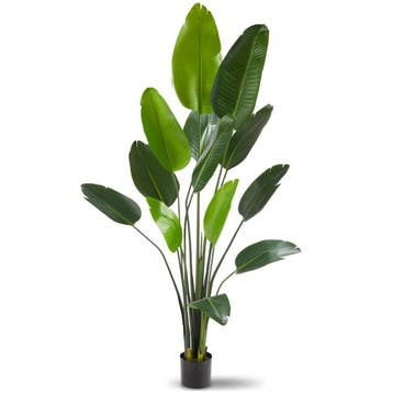 Kunst paradijsvogelboom Tropic, natuurgetrouw - 180 cm, Huis en Inrichting, Kamerplanten, Verzenden