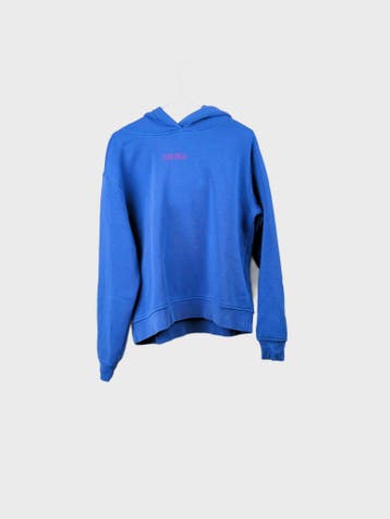 AMY&IVY Hoodie Heren maat M Blauw Vintage, Kleding | Heren, Ophalen of Verzenden, Nieuw