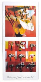 Maurizio Galimberti (1956–) - BiFlowers - 11632