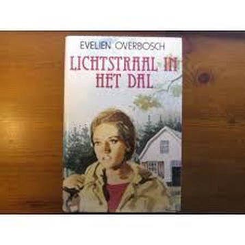 Lichtstraal in het dal - Overbosch, Verzenden, Gelezen