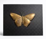 Daluxe Art - 1999 • LV Butterfly