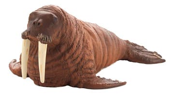Mojo Sealife speelgoed Walrus - 387 van €12,99 voor €6,50, Ophalen of Verzenden, Nieuw
