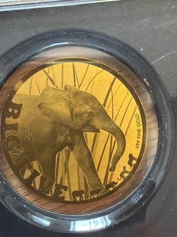Tsjaad. 5000 Francs Big Five - Elefant 1/200 Oz (.999)
