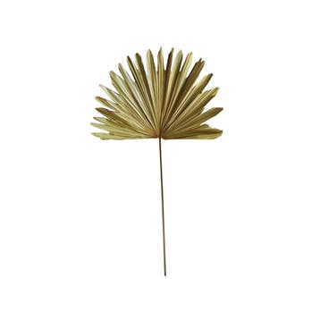 *palmblad tak gedroogd 96cm*, Verzenden, Nieuw