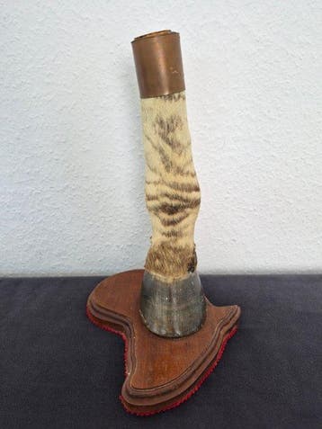 Een uitzonderlijke zebra-poot op een houten sokkel.