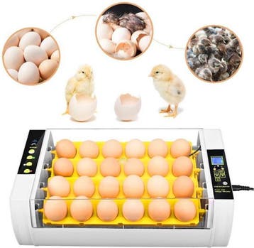 Broedmachine 24 eieren automatisch + gratis broedeitjes, Ophalen of Verzenden, Nieuw