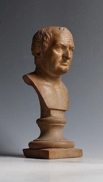 Giovanni Mollica - Buste, Vespasianus - Grand Tour - 20 cm -, Antiek en Kunst