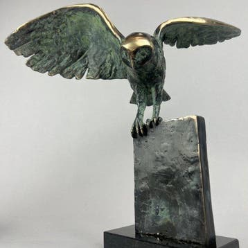 J. Zak (XX-XXI) - The owl - Bronze