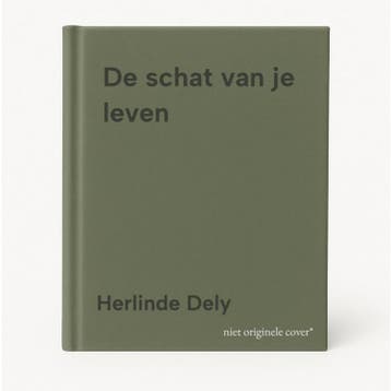 De schat van je leven - Herlinde Dely 9789462670501, Verzenden, Gelezen, Herlinde Dely