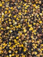 Partikels / Tijgernoten Kant en Klaar gekookt - Bulk Prijzen, Watersport en Boten, Ophalen of Verzenden, Nieuw, Overige typen