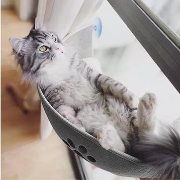 Kattenraambed Hangmat – Vensterligstoel met Zuignappen, Verzenden, Nieuw