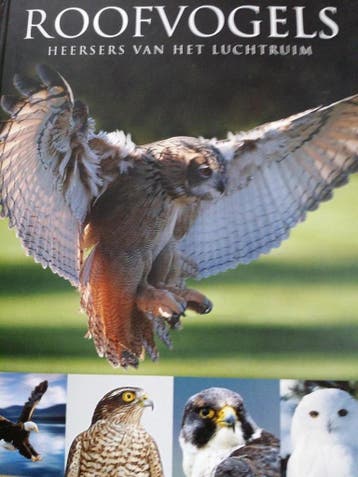 Roofvogels - Frost 9781445449029, Verzenden, Gelezen, Frost