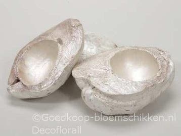 Kokosnoot White Pearl halve 13-16 cm zak 3 stuks, Ophalen of Verzenden, Nieuw