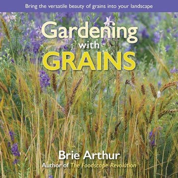 Gardening with Grains - Brie Arthur 9781943366354, Verzenden, Zo goed als nieuw, Brie Arthur