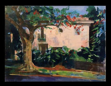 Spanish School (XX) - The Pink House