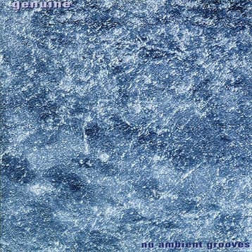 cd - Genuine - Nu Ambient Grooves, Verzenden, Zo goed als nieuw