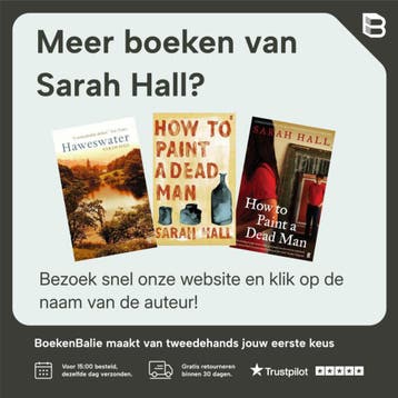 Beautiful Indifference - Sarah Hall 9780571230181, Verzenden, Gelezen, Sarah Hall