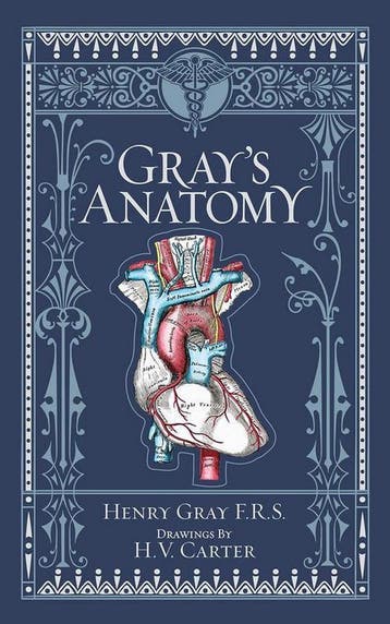 Grays Anatomy - Henry Gray 9781435167919, Boeken, Verzenden, Zo goed als nieuw, Henry Gray