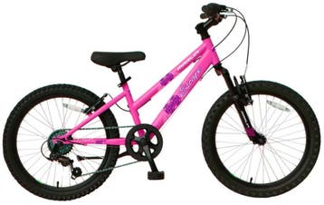 Meisjes Mountainbike 20 Inch 2e Kans - Afhalen in Boxmeer, Ophalen, 16 tot 20 inch, Staal, Velgrem