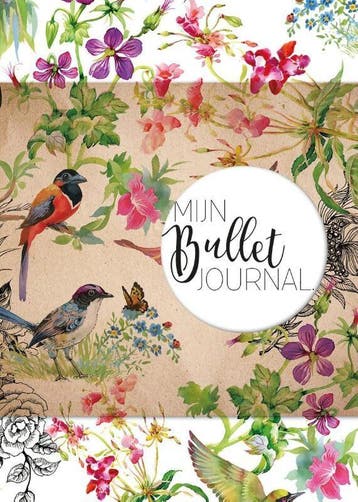 Mijn bullet journal (Goed), Verzenden, Gelezen