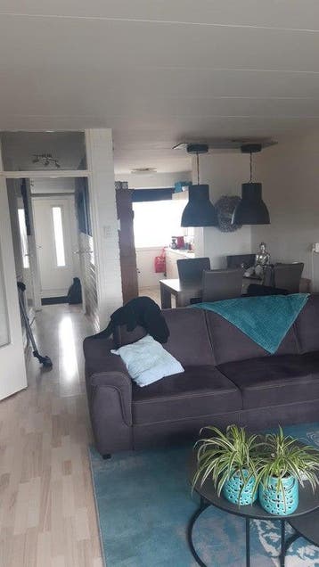 Te huur: Appartement Bellatrixstraat in IJmuiden, Noord-Holland, Appartement, IJmuiden